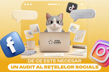 pentru-ce-e-audit-smm