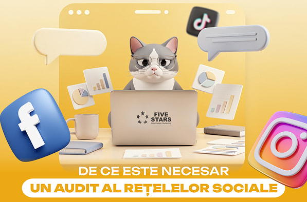 pentru-ce-e-audit-smm