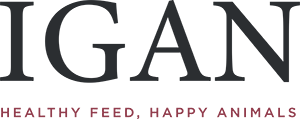 Logo-8
