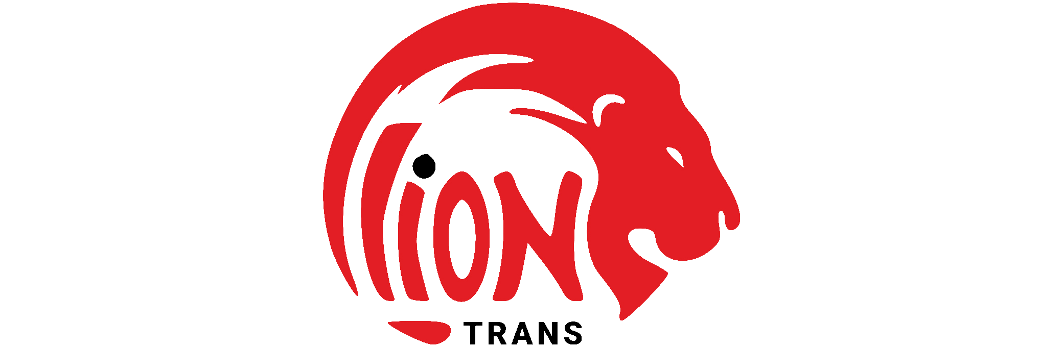 Lion_Trans