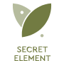 logo-secretelement